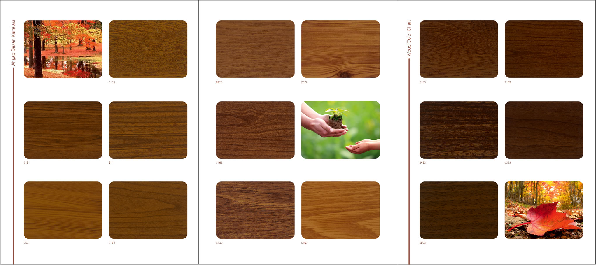color chart